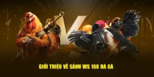 Đá Gà WS168 Tại HitClub Sảnh Cược Chiến Kê Đỉnh Cao Nhận Thưởng Lớn