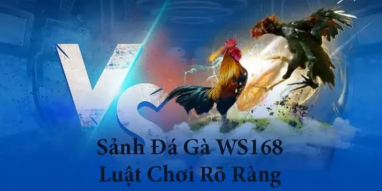 Đá Gà WS168 Tại HitClub Sảnh Cược Chiến Kê Đỉnh Cao Nhận Thưởng Lớn